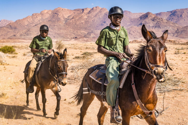 2-Field-rangers-in-Namibia-768x512.jpg