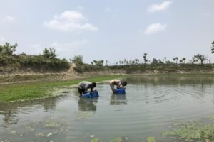 Water-collection-from-pond-768x512.jpg