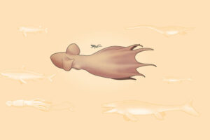 2026_066_AA_Octopus_Banner-v3-768x512.jpg