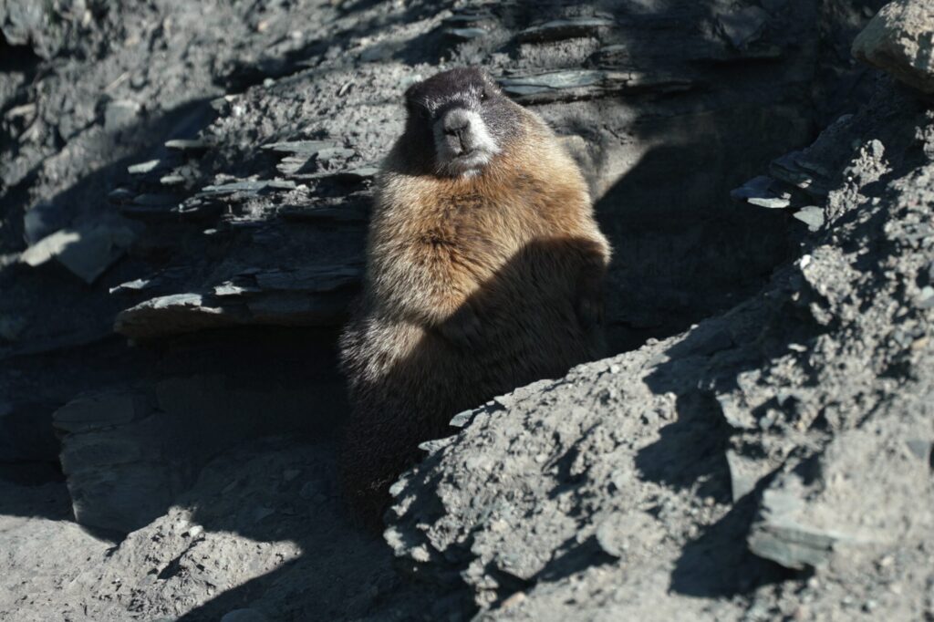 AP26232795593218-scaled.jpg