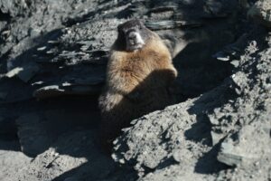 AP26232795593218-scaled.jpg