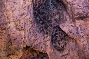 Bats-in-a-cave-roost-in-Thailand.-Image-by-Jayakarthi-Natarajan-via-Wikimedia-Commons-2048x1365-1-76.jpeg