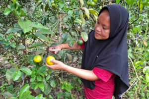 Ernita-farmer-and-member-of-womens-group-Perbani-768x512.jpg