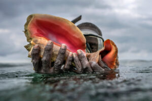 Henry-Carey-holds-up-shells-768x512.jpg