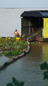 Mongabay_Thumbnail_HippoWeb.jpg