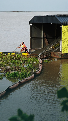 Mongabay_Thumbnail_HippoWeb.jpg
