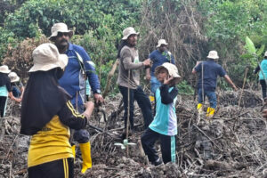 Planting-mangroves-with-students-from-Tanjung-Kuras-1-768x512.jpg