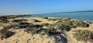 Red_Sea_coastal_landscape.jpg