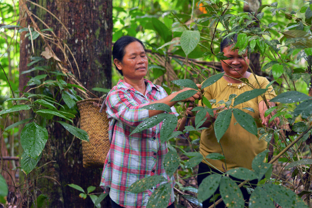 dayak-women.jpg