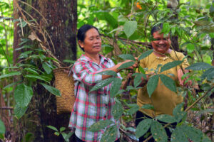 dayak-women.jpg