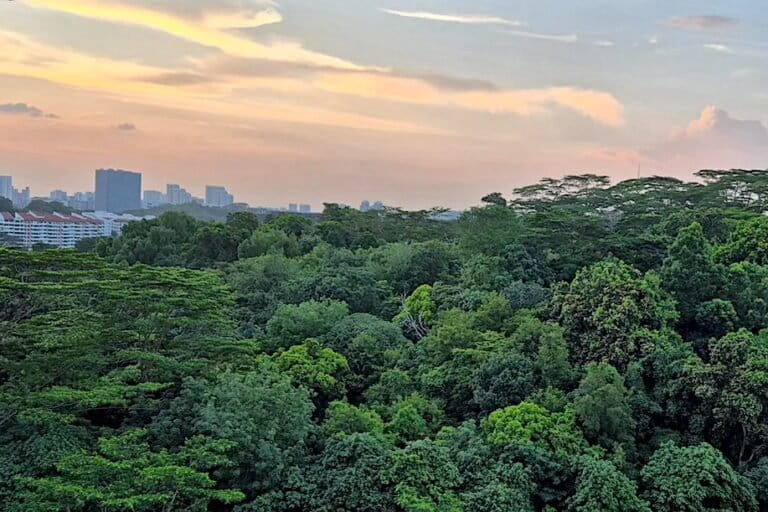 maju-forest-singapore-768x512.jpg