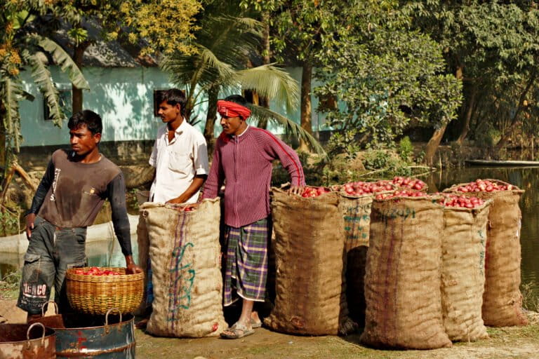onions-in-jute-sacks-768x512.jpg