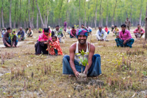 planting-trees-bangladesh-768x512.jpg