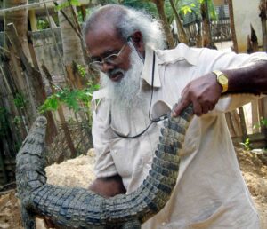 1.-crocokodile-1-scaled.jpg