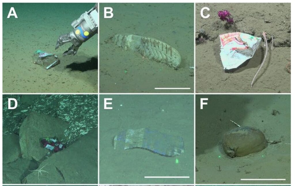 2Examples-of-marine-litter-Argentina-canyon.jpg