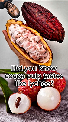 CocoaFeatured.jpg