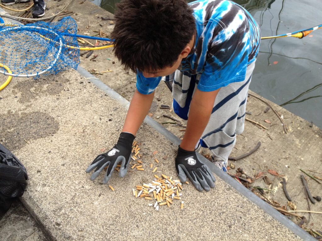 Counting_cigarette_butts_8009123356-scaled.jpg