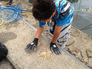 Counting_cigarette_butts_8009123356-scaled.jpg