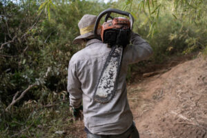 Garment-Deforestation_Mongabay_Andy-Ball_Story-3-4-scaled.jpg