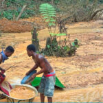 UNICORN778 Illegal mines threaten biodiversity and drinking water in Ghana’s Atewa Forest Peluang Terburuk Saat Bermain Slot Online