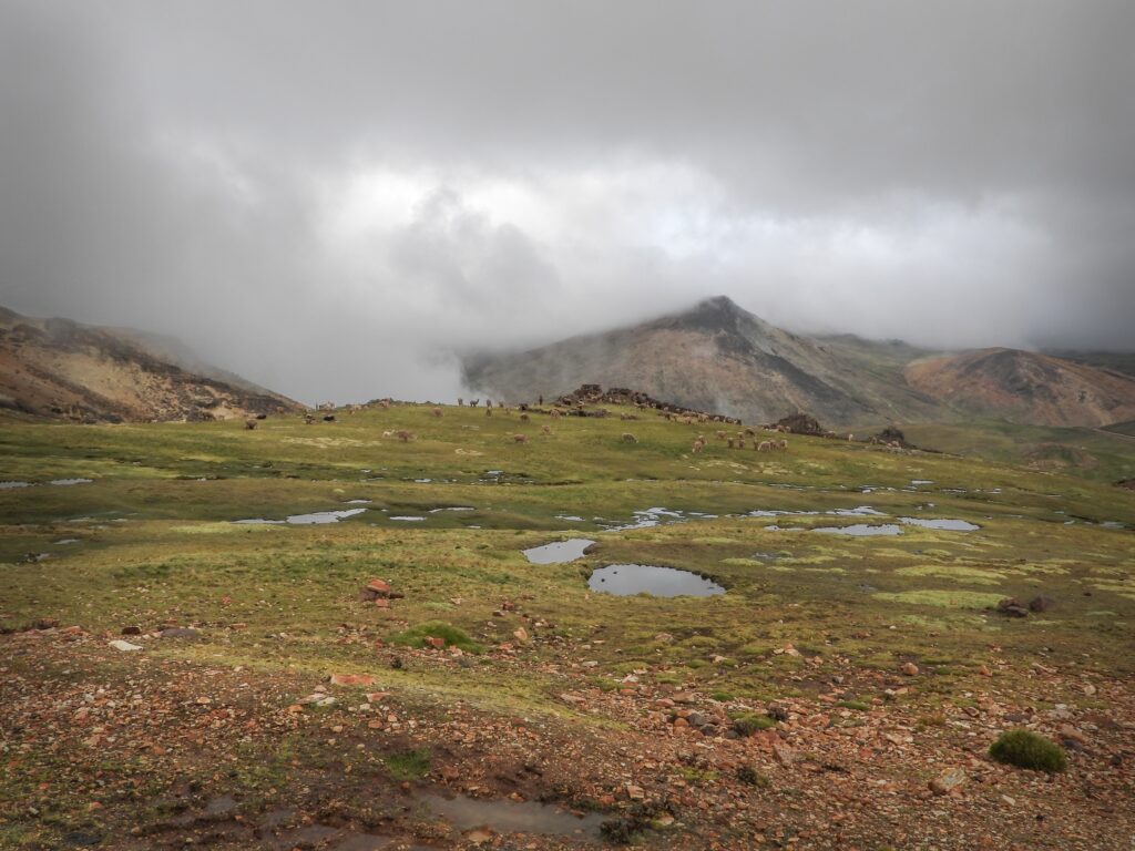 Wetlands-of-Huancavelica-in-the-Yaku-Pacha-project-Peru.-April-2026.-Credit_-Alan-Chamorro.jpg