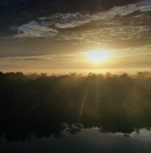 amazon_200949-e1787890850428.jpg