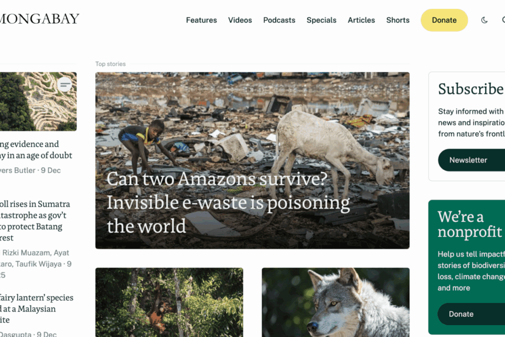 mongabay_environmental_news_www-1200x800.png