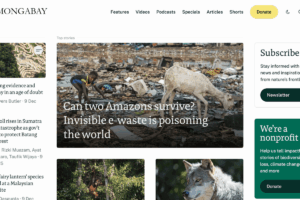 mongabay_environmental_news_www-1200x800.png