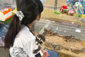6.-IMG_0081.jpg