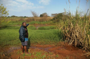 IMG_20260922_082425-limpopo.jpg