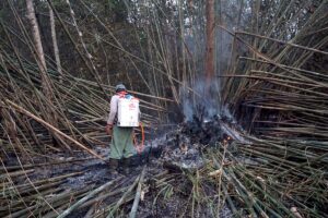 Seorang-warga-tengah-memadamkan-api-di-Talang-Turunan-Gajah-dengan-menggunakan-peralatan-sederhana.jpeg