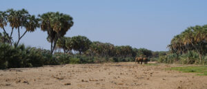 USAID-1-scaled-e1791303366230.jpg
