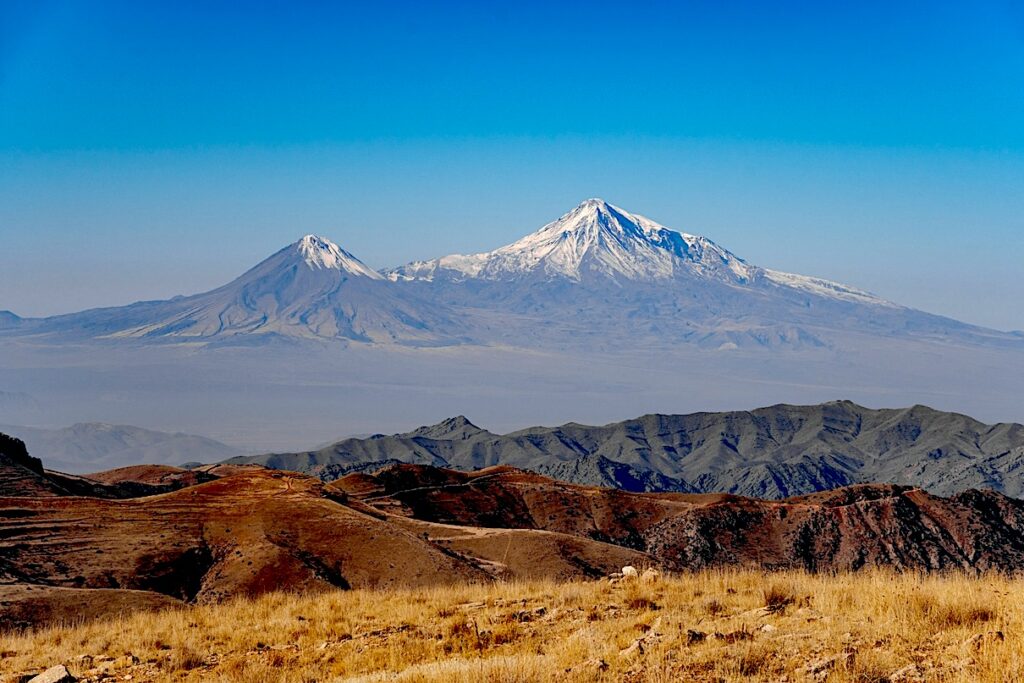 ani-adigyozalyan-_vg33BH0KPM-unsplash-1.jpg