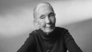 jane-goodall-2024-16x9-1.jpg